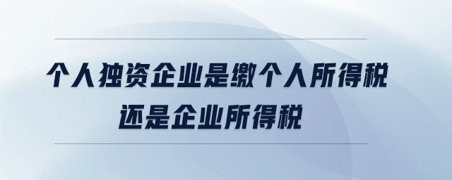 个人独资企业是缴个人所得税还是企业所得税 个人独资企业是缴个人所得税还是企业所得税