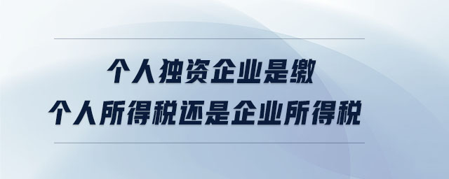 个人独资企业是缴个人所得税还是企业所得税 个人独资企业是缴个人所得税还是企业所得税