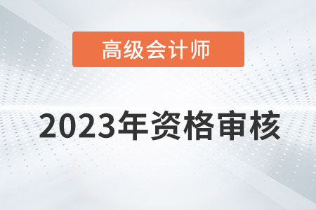 四川省2023年高级会计师考试资格审核方式：网上审核