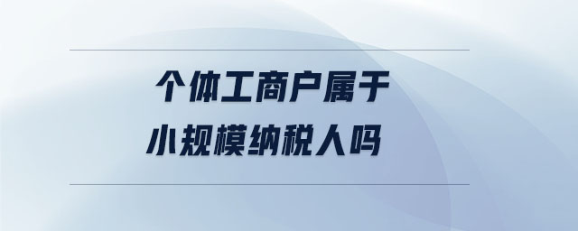 个体工商户属于小规模纳税人吗