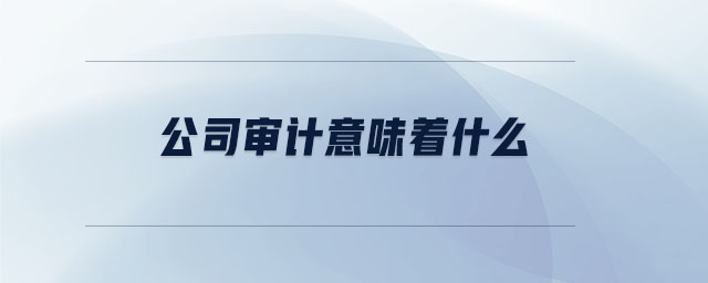 公司审计意味着什么 公司审计意味着什么