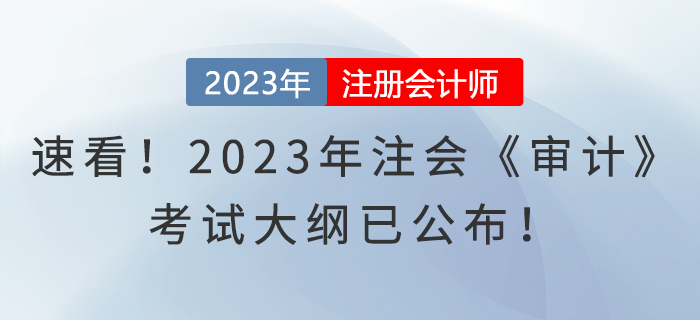 速看！2023年注会《审计》考试大纲已公布！