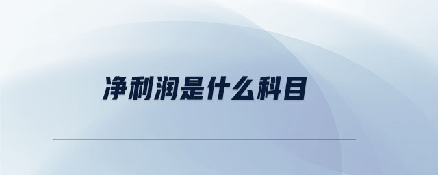 净利润是什么科目 净利润是什么科目