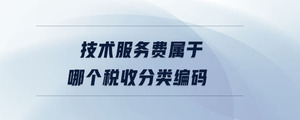 技术服务费属于哪个税收分类编码