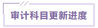 审计 审计