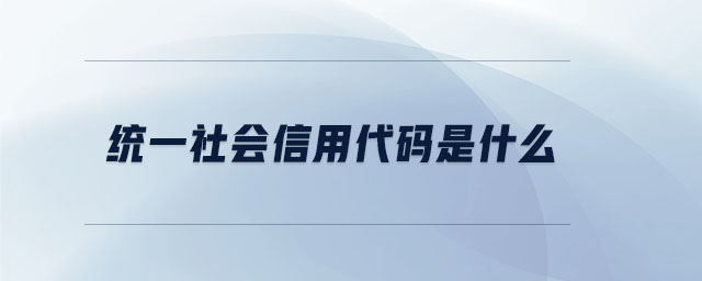 统一社会信用代码是什么