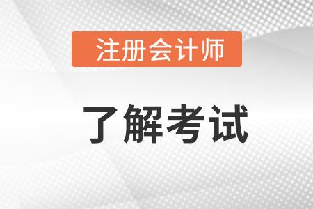 注册会计师和初级会计师区别？