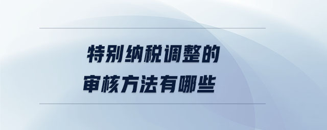 特别纳税调整的审核方法有哪些