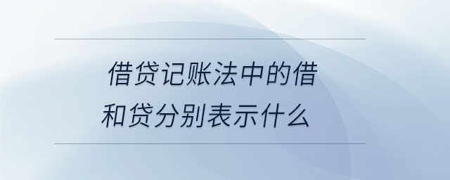 借贷记账法中的借和贷分别表示什么