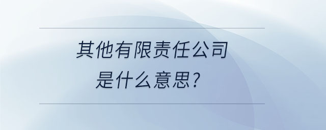 其他有限责任公司是什么意思？