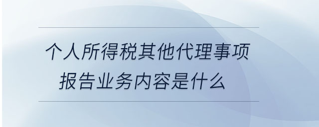 个人所得税其他代理事项报告业务内容是什么