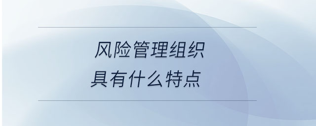 风险管理组织具有什么特点