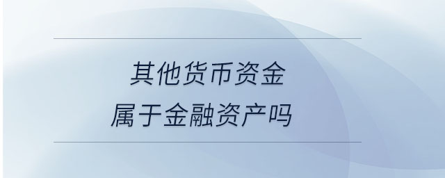 其他货币资金属于金融资产吗