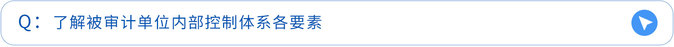 了解被审计单位内部控制体系各要素 了解被审计单位内部控制体系各要素