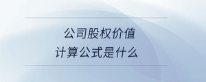 公司股权价值计算公式是什么