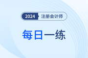 2024年注册会计师考试每日一练汇总3.29