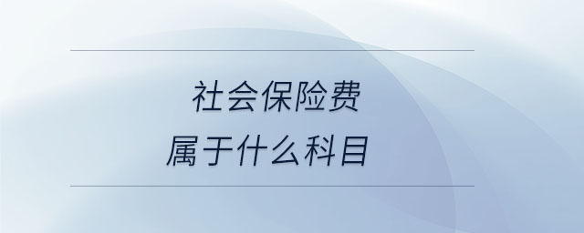 社会保险费属于什么科目