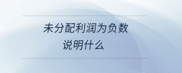 未分配利润为负数说明什么