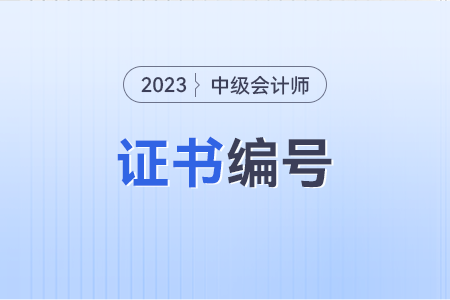 中级会计证编号在哪里可以查到？