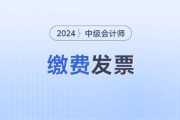 ​中级会计考试2024年的费用是多少？