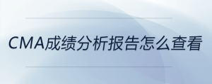 cma成绩分析报告怎么查看