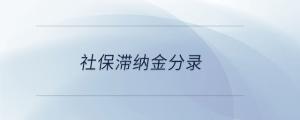 社保滞纳金分录