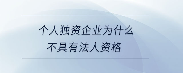个人独资企业为什么不具有法人资格 个人独资企业为什么不具有法人资格