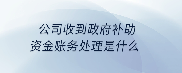 公司收到政府补助资金账务处理是什么? 公司收到政府补助资金账务处理是什么?