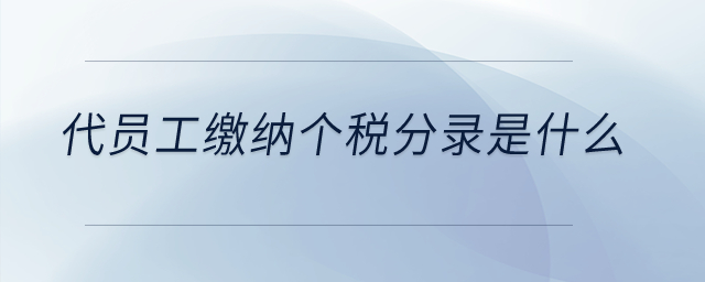 代员工缴纳个税分录是什么？