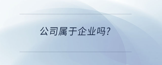 公司属于企业吗