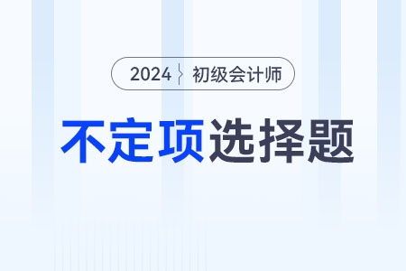 应收票据_2024年《初级会计实务》不定项专项练习