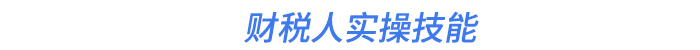 财税人实操技能 财税人实操技能