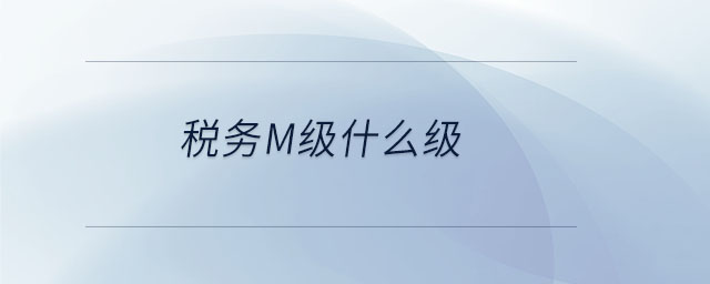 税务m级什么级 税务m级什么级