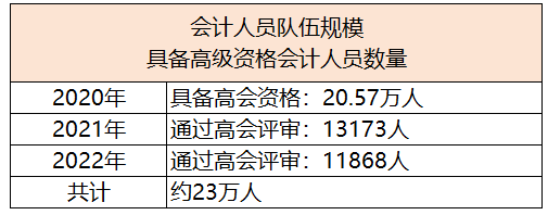 会计人员 会计人员