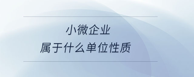 小微企业属于什么单位性质