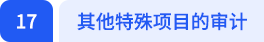 其他特殊项目的审计 其他特殊项目的审计