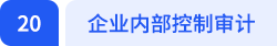 企业内部控制审计 企业内部控制审计
