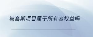 被套期项目属于所有者权益吗