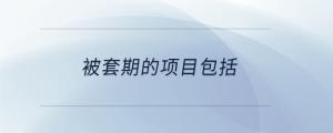被套期的项目包括