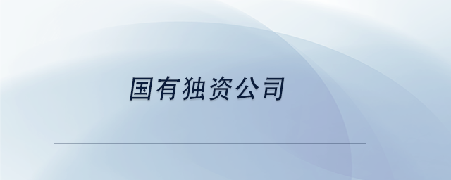 中级会计国有独资公司 中级会计国有独资公司