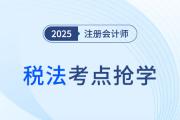 转让定价调查及调整_2025注会《税法》考点抢先学