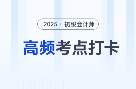 2025年《初级会计实务》高频考点跟学打卡汇总