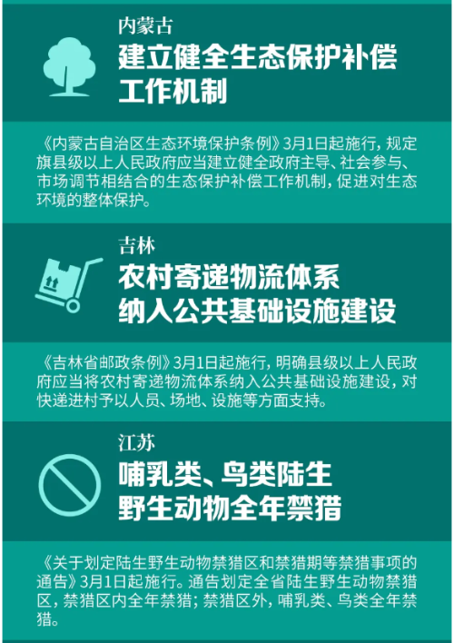 实操课程