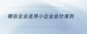 哪些企业适用小企业会计准则