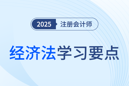 物的概念与种类_25年注会经济法学习要点