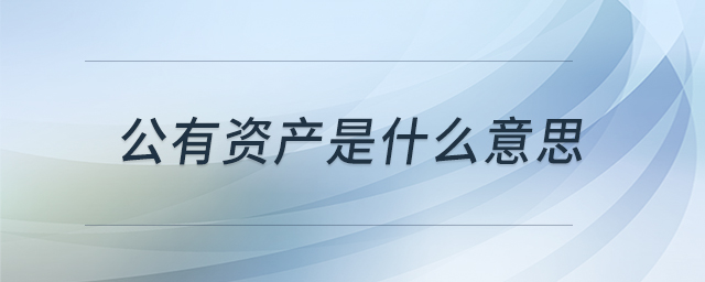公有资产是什么意思