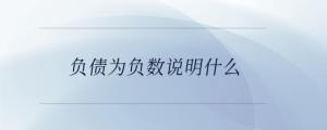 负债为负数说明什么