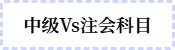 中级Vs注会