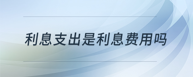 利息支出是利息费用吗