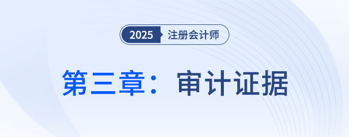 第三章审计证据_2025年注会审计习题随章演练